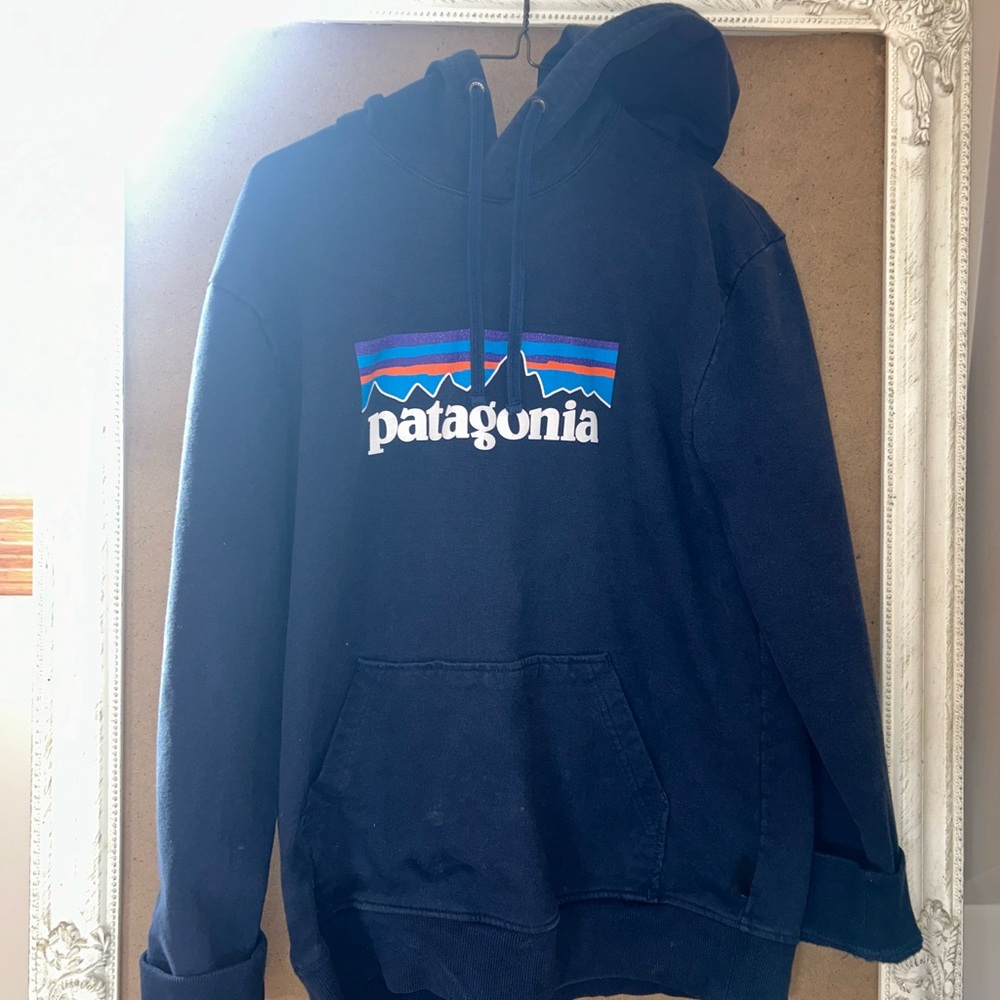 Patagonia Men's Blue Hoodie